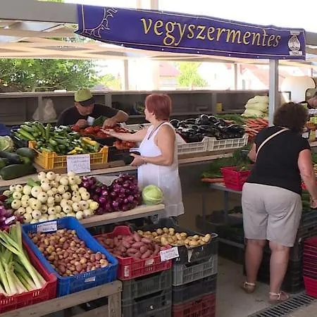 Marta Nyaralo Fonyodon Tatil Evi Fonyód